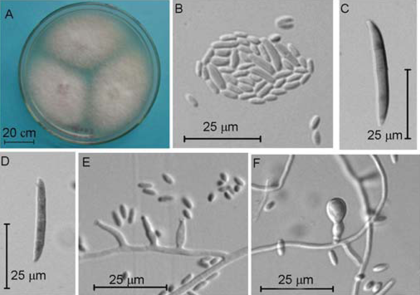 Marinedrugs 07 00097f6