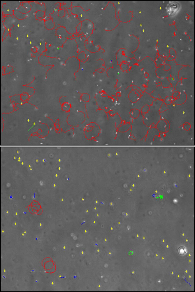 Marinedrugs 07 00367f5