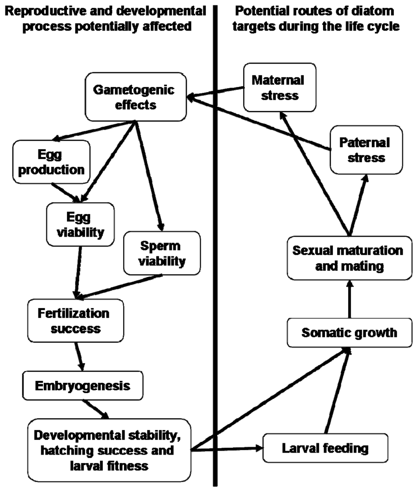 Marinedrugs 07 00367f8