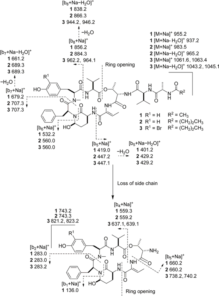 Marinedrugs 07 00528f2