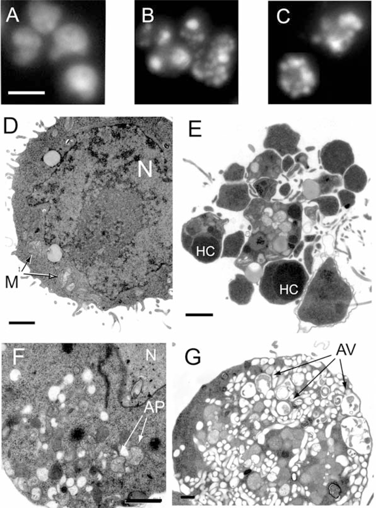 Marinedrugs 07 00605f1