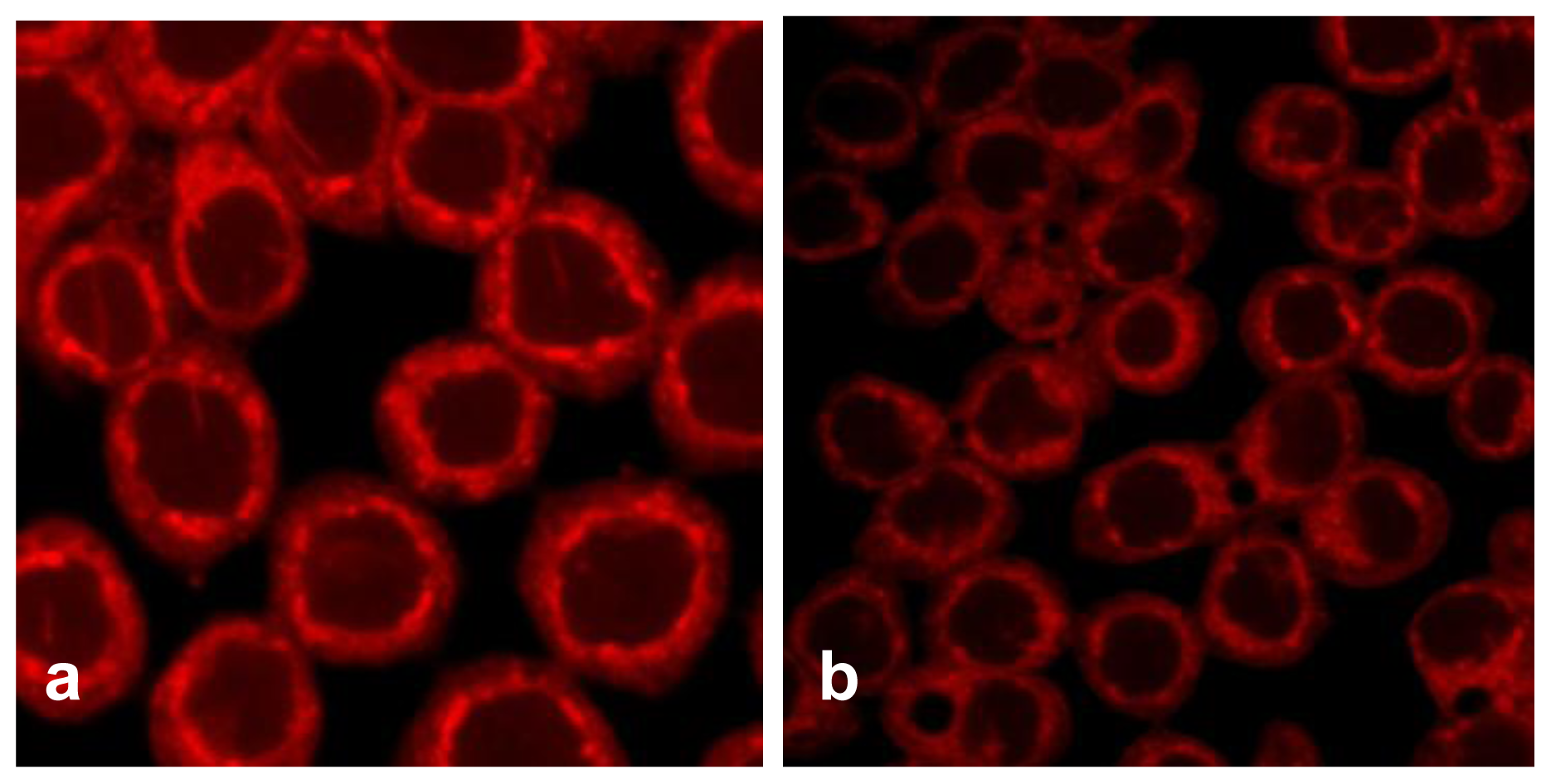 Marinedrugs 08 00080f5a