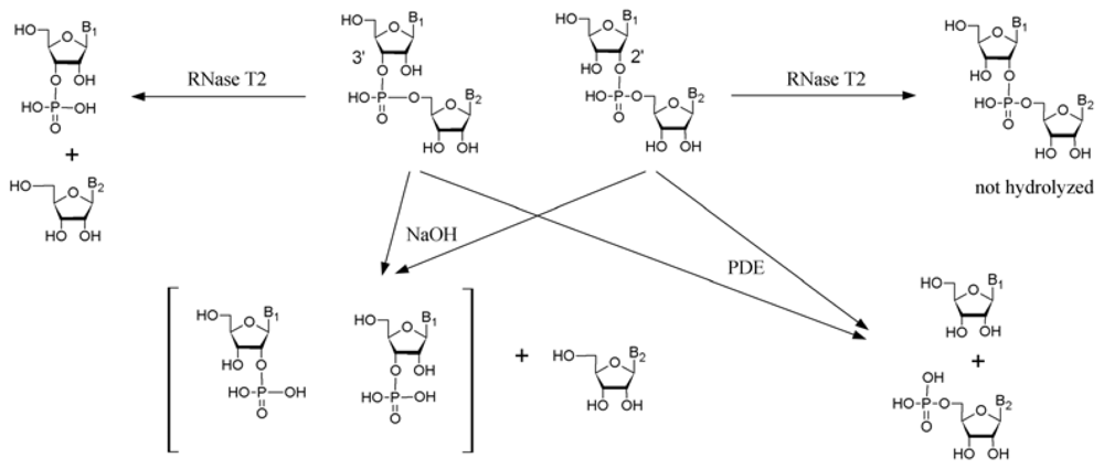 Marinedrugs 08 00235f3