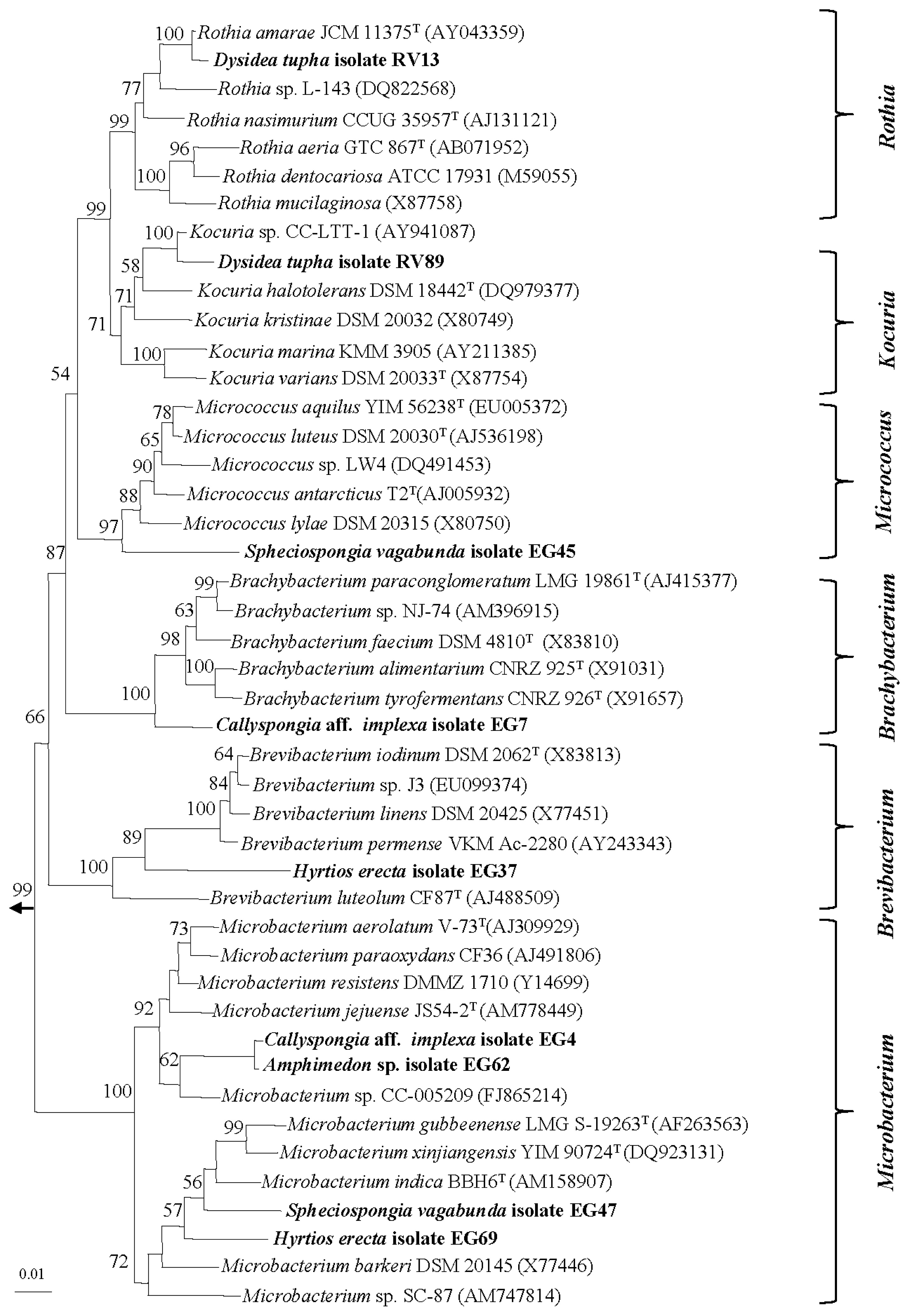 Marinedrugs 08 00399f2