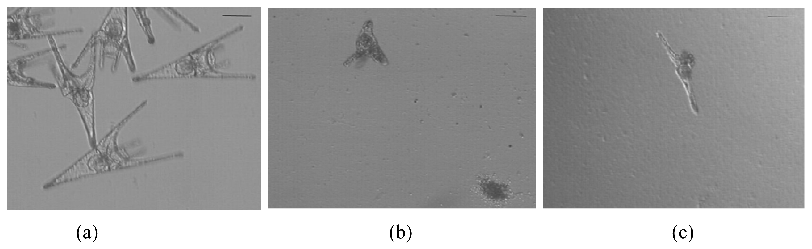 Marinedrugs 08 00471f1