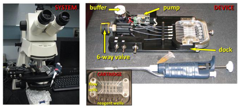 Marinedrugs 08 00565f2