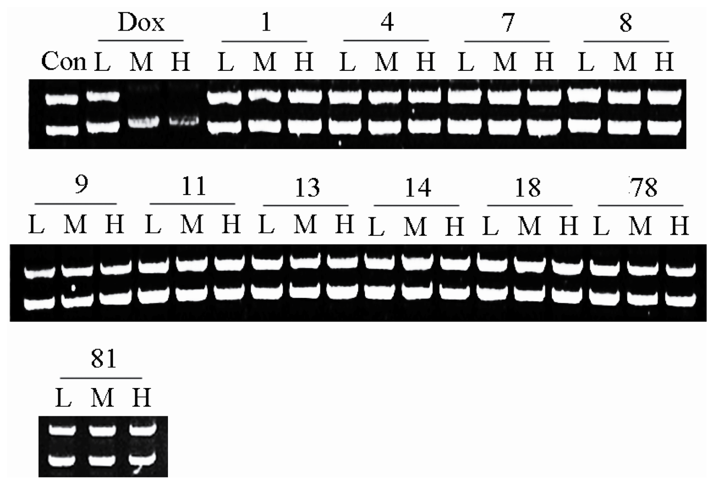 Marinedrugs 08 01094f6