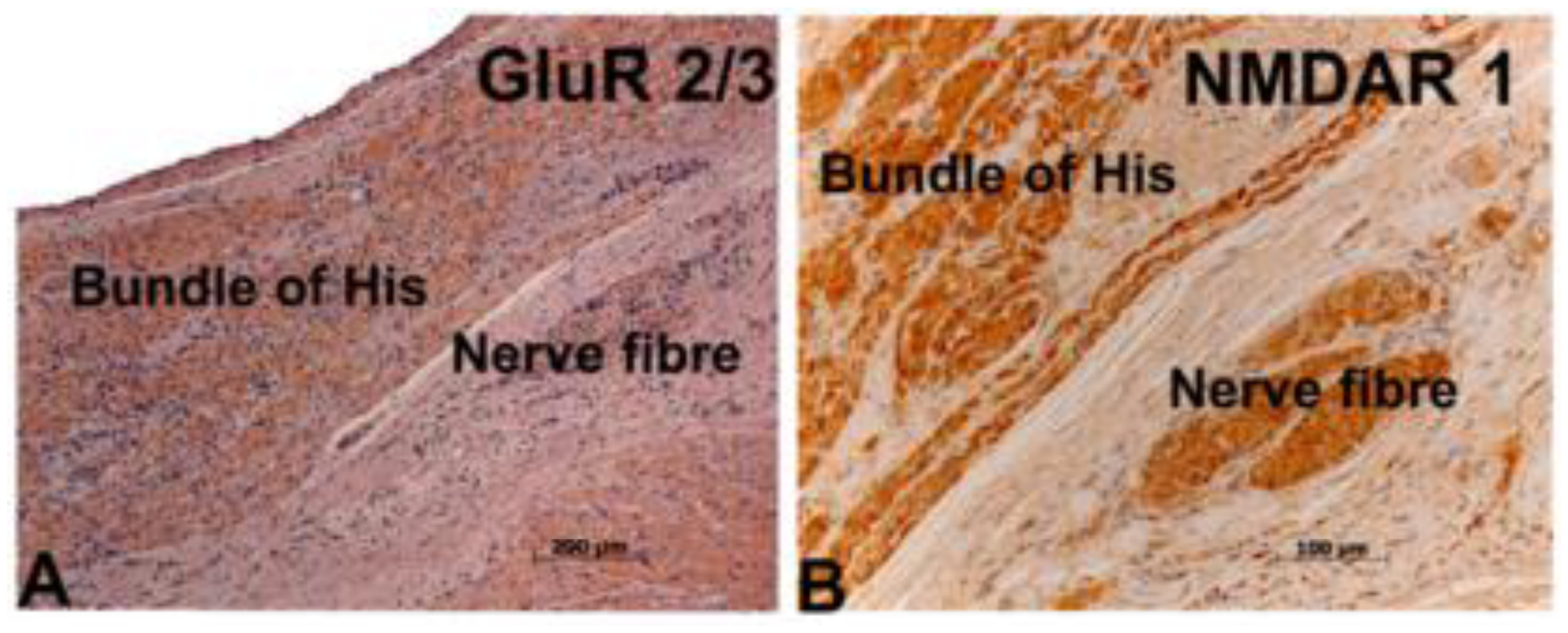 Marinedrugs 08 01637f1