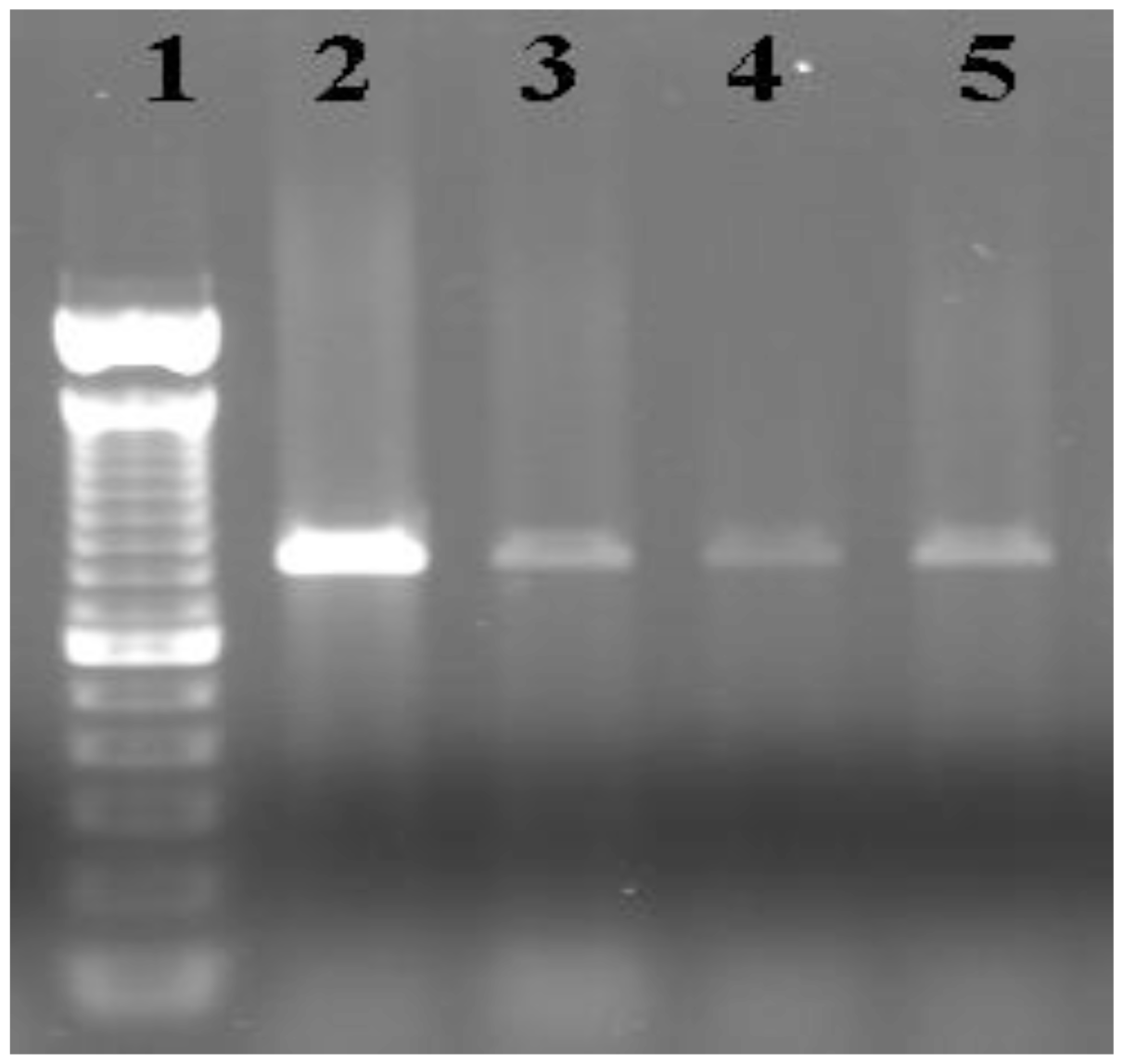 Marinedrugs 08 01637f6