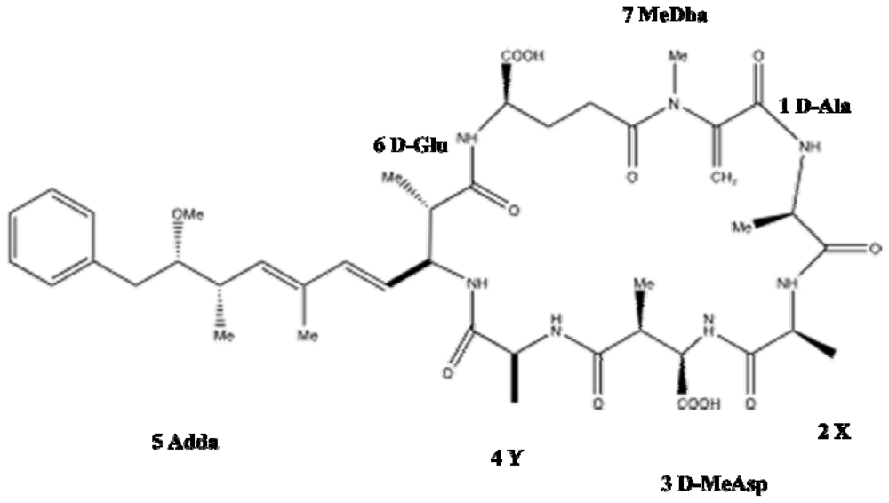 Marinedrugs 08 01650f1