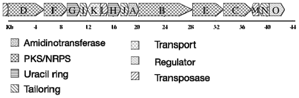 Marinedrugs 08 01650f10
