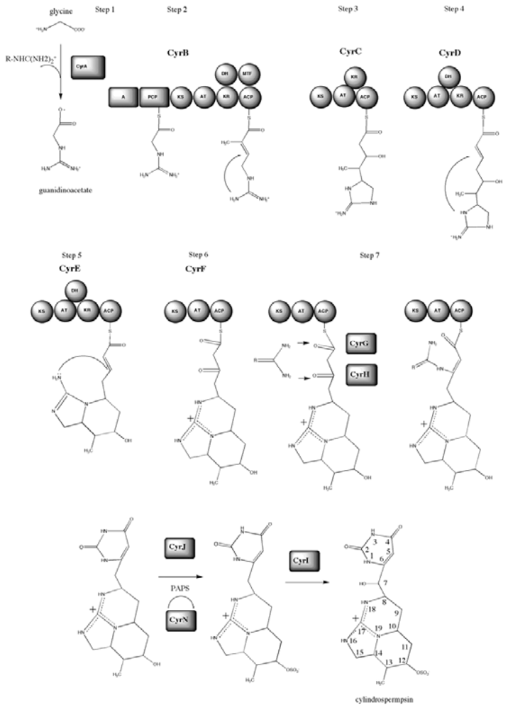 Marinedrugs 08 01650f11