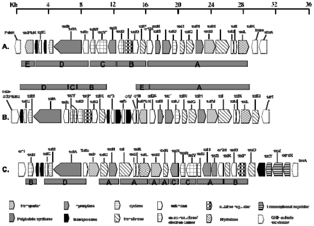 Marinedrugs 08 01650f7