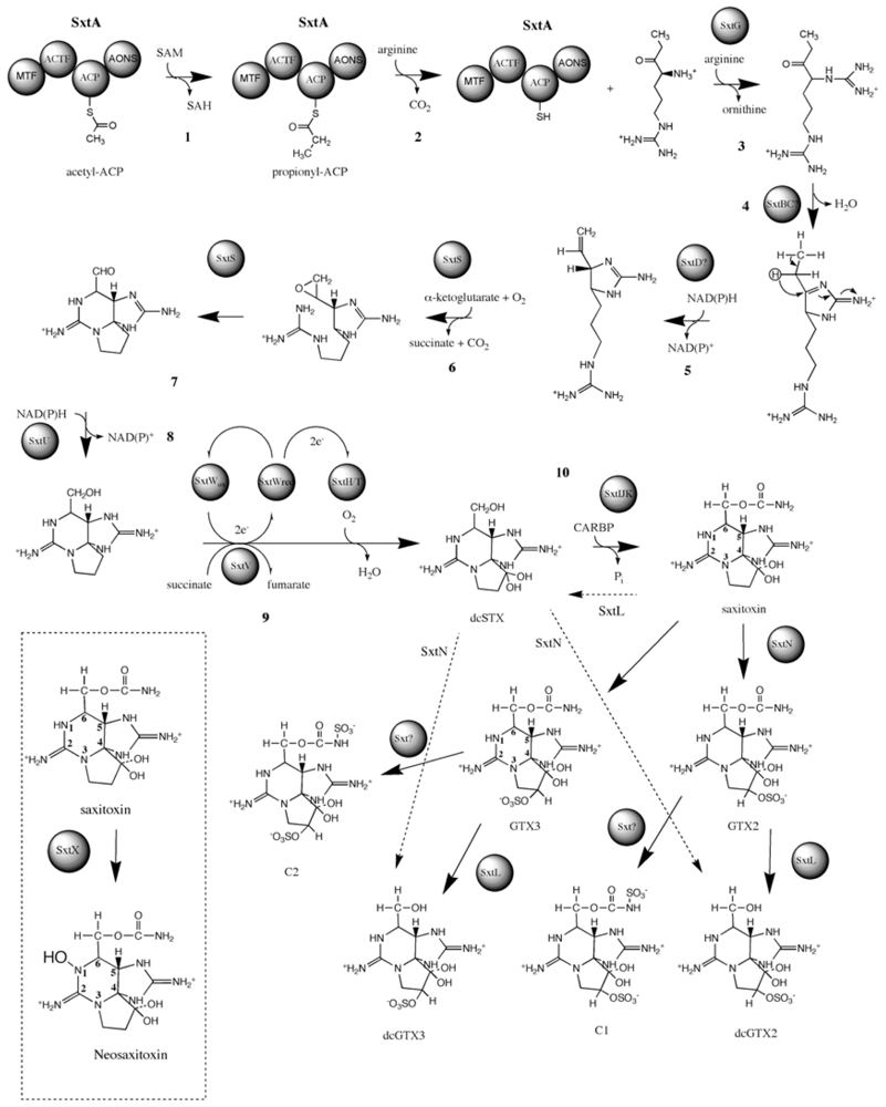 Marinedrugs 08 01650f8