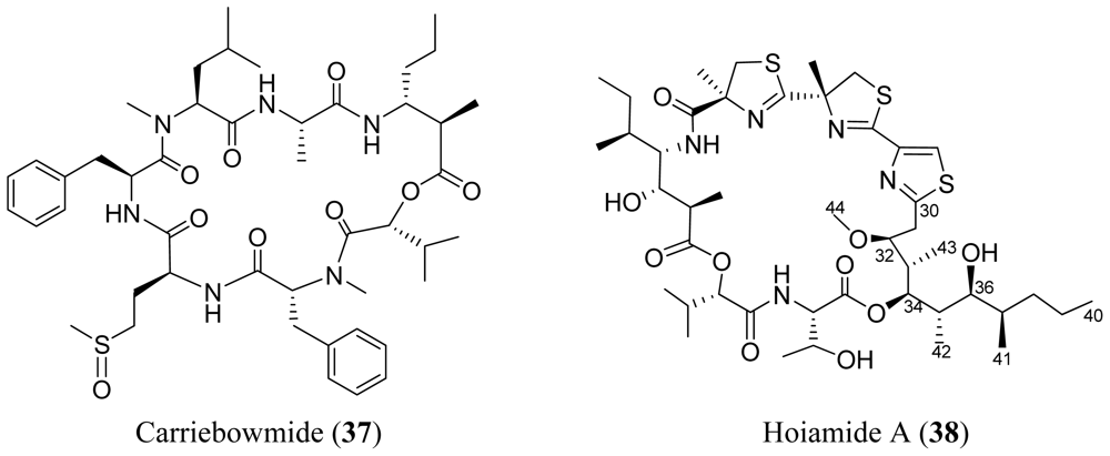 Marinedrugs 08 01817f7 1024
