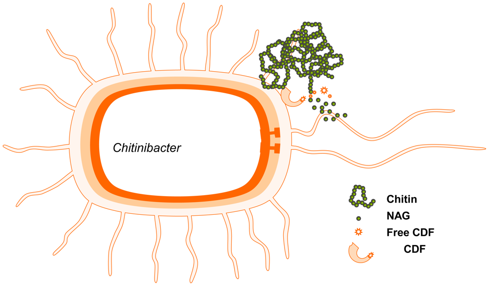 Marinedrugs 08 02493f3