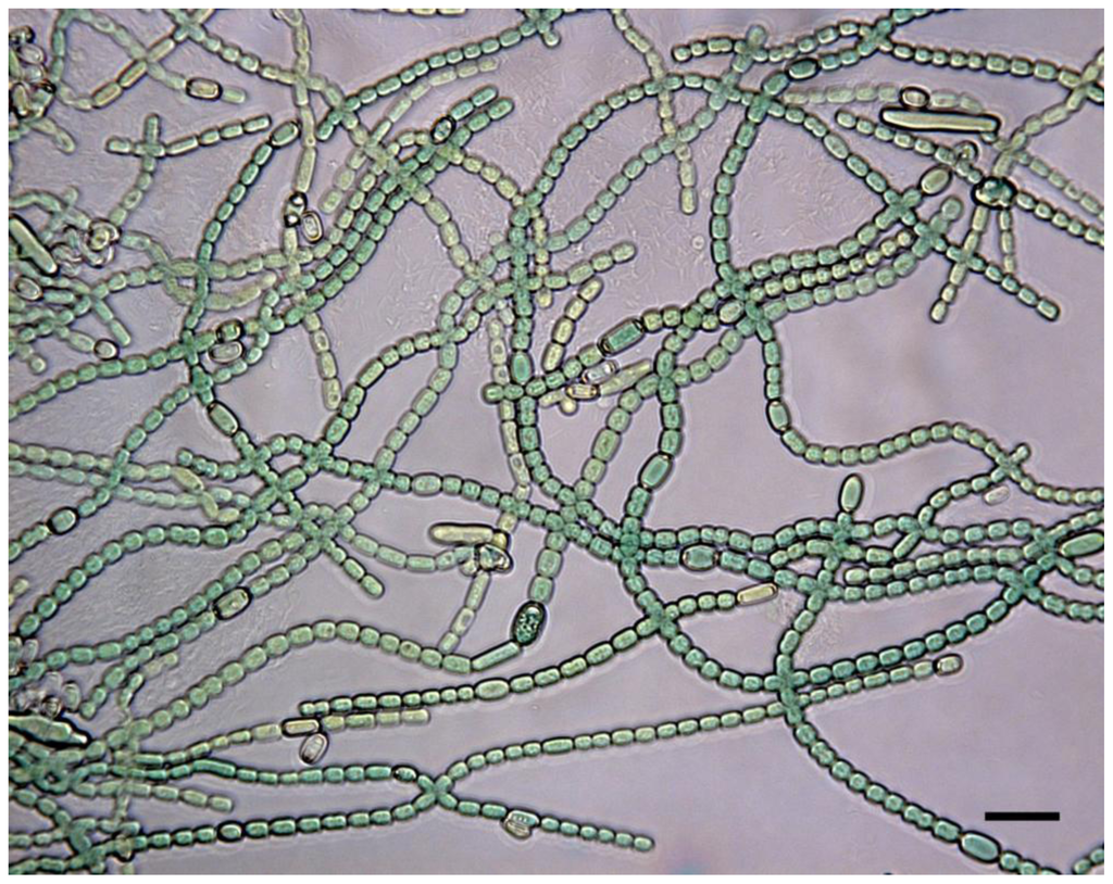 Marinedrugs 08 02659f7 1024