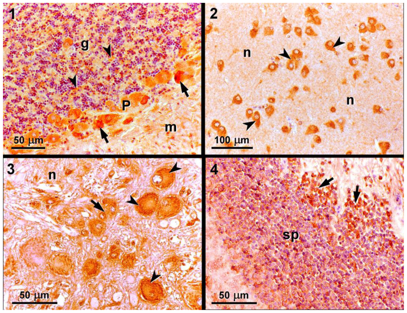 Marinedrugs 08 02721f1