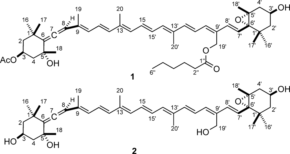 Marinedrugs 09 00242f1