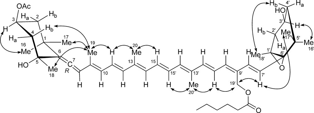 Marinedrugs 09 00242f5