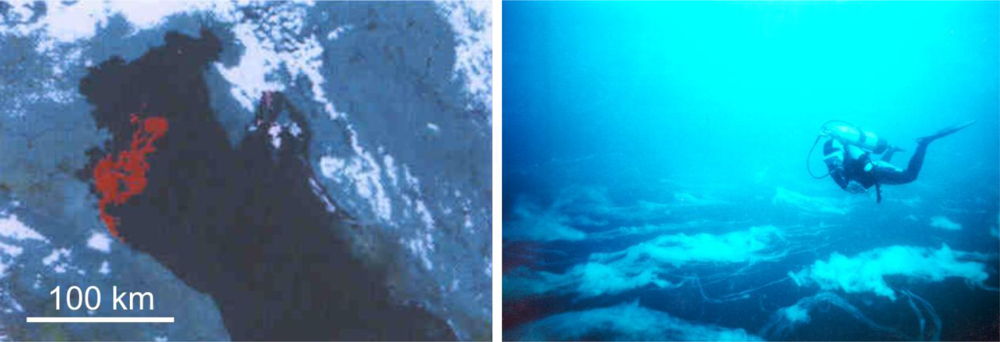 Marinedrugs 09 00666f1