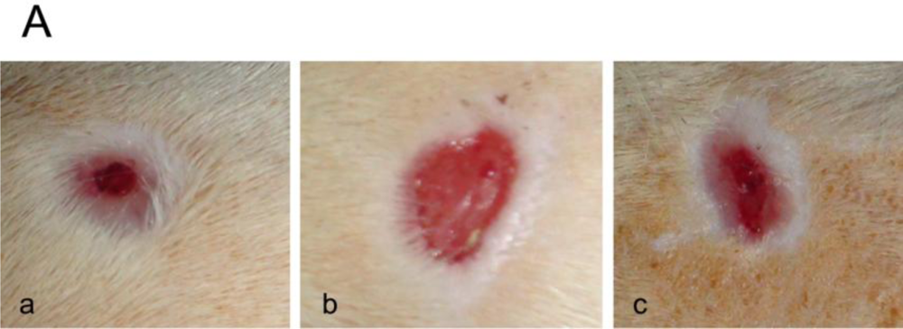 Marinedrugs 09 00696f1a