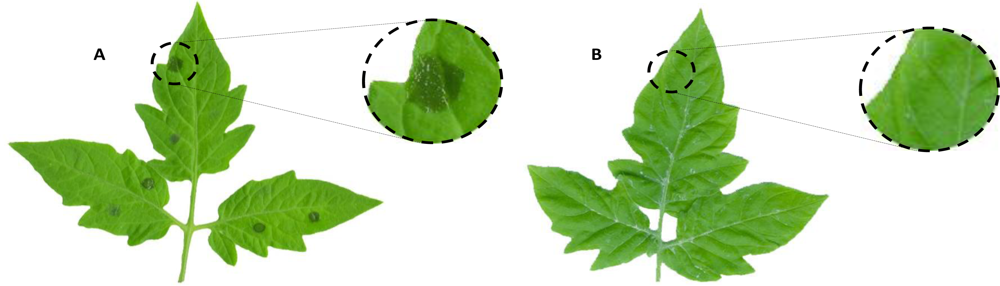 Marinedrugs 09 00739f3