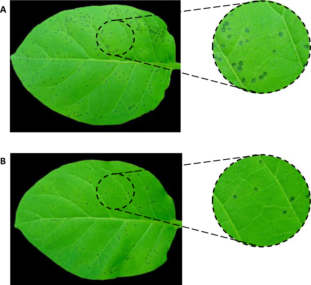 Marinedrugs 09 00739f5