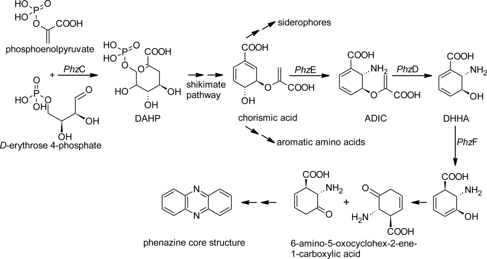 Marinedrugs 09 00772f1