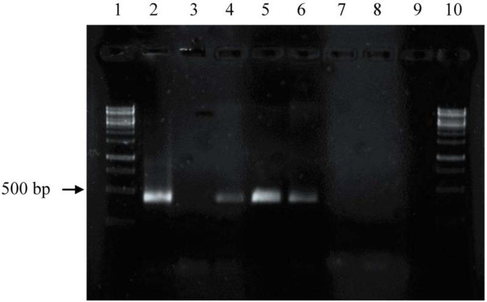 Marinedrugs 09 00772f3