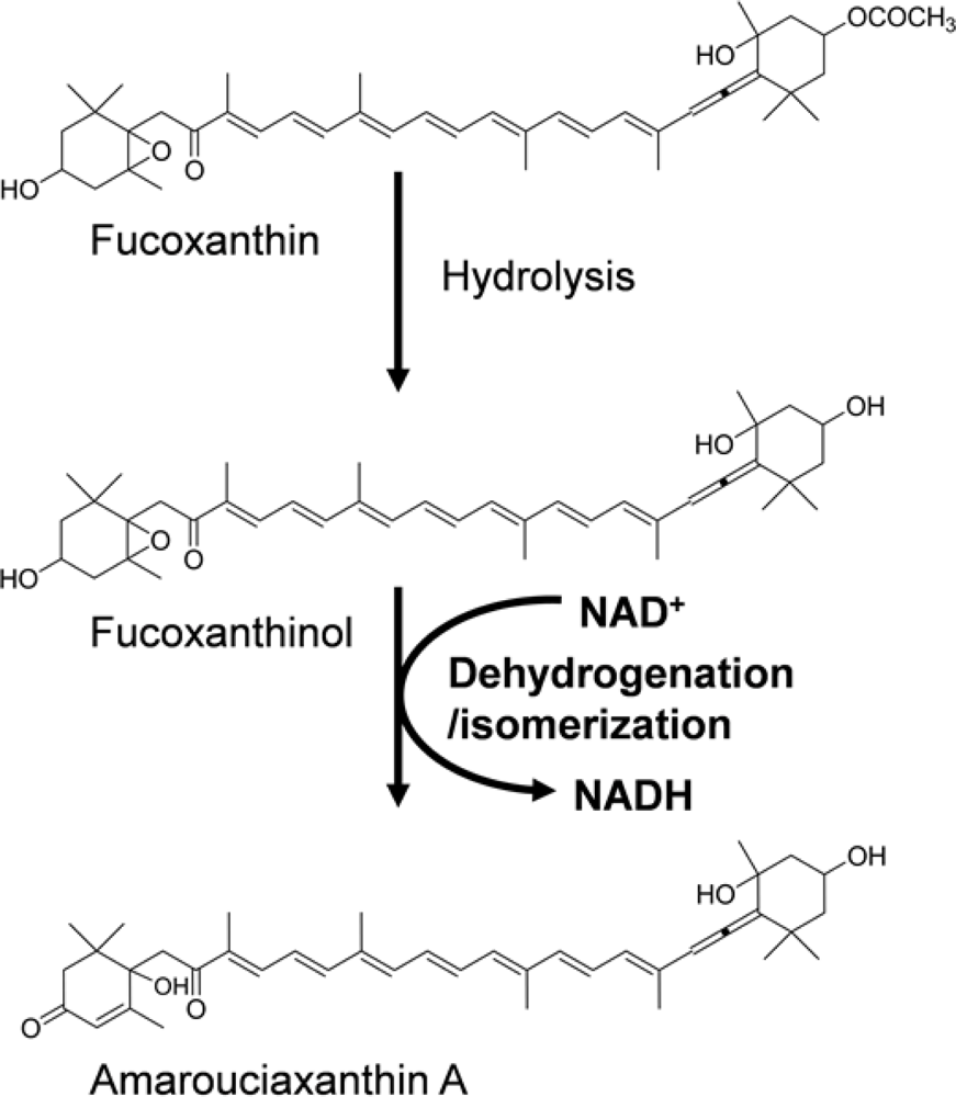 Marinedrugs 09 01024f3