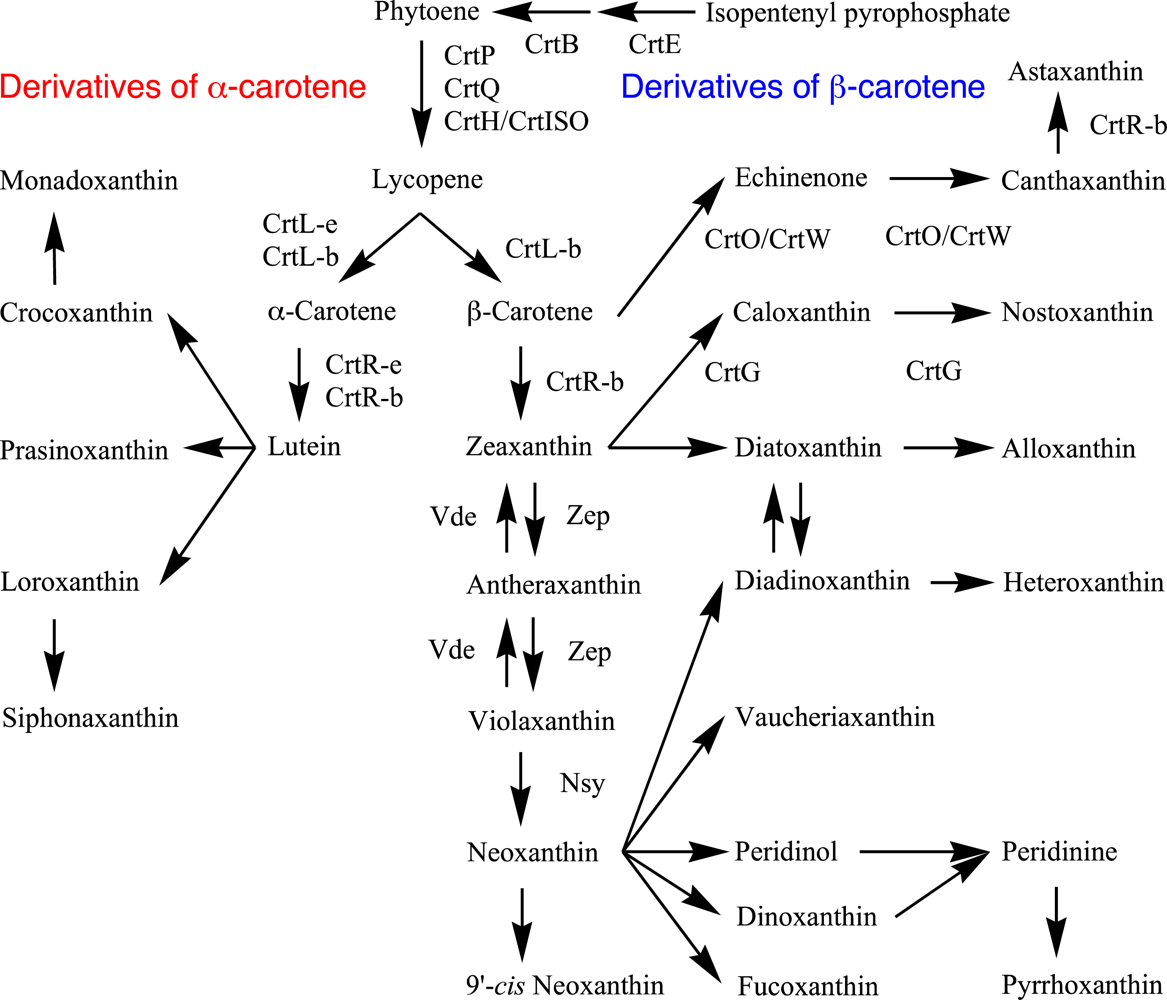 Marinedrugs 09 01101f2