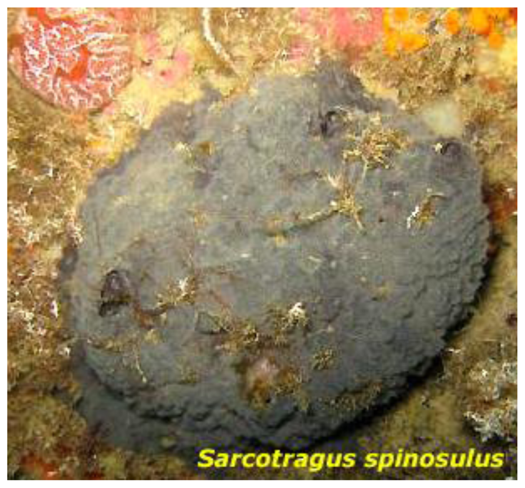 Marinedrugs 09 01210f2