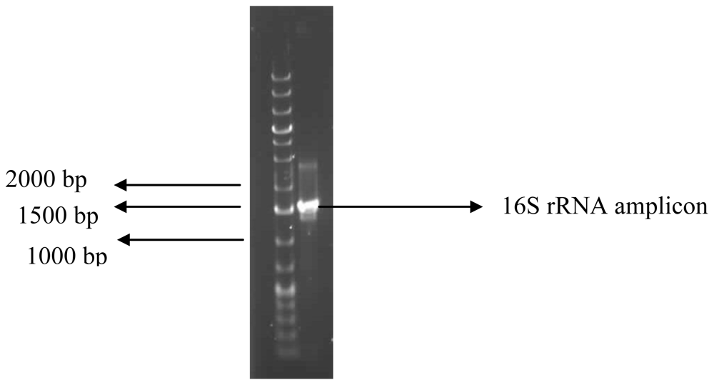 Marinedrugs 09 01232f1