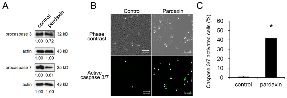 Marinedrugs 09 01995f4