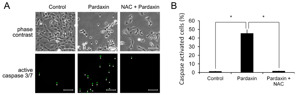 Marinedrugs 09 01995f7
