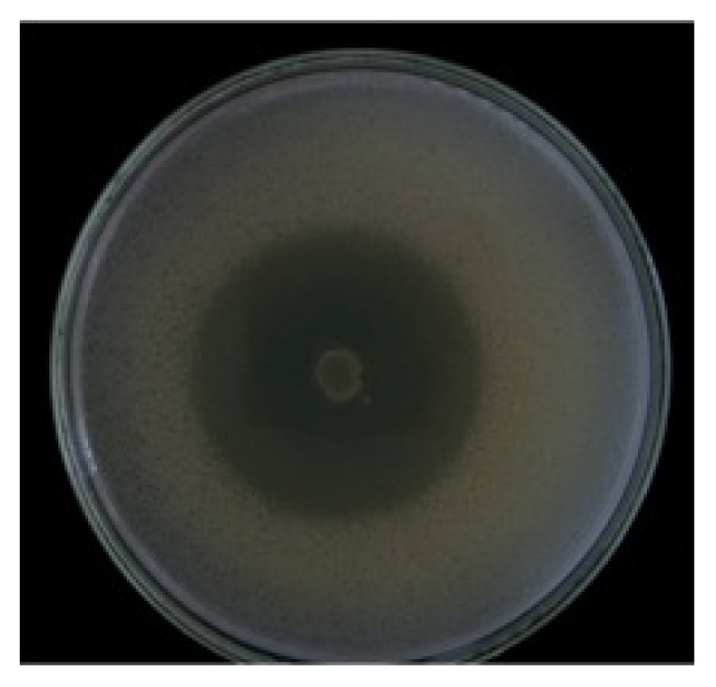 Marinedrugs 09 02155f1