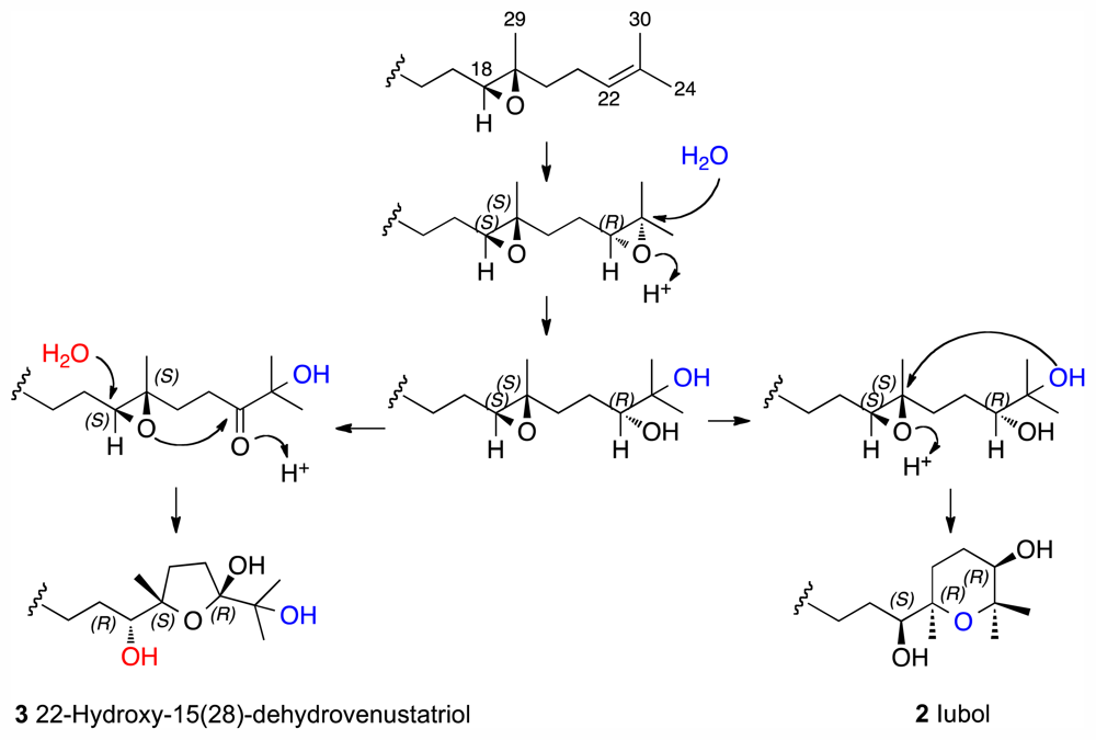 Marinedrugs 09 02220f4