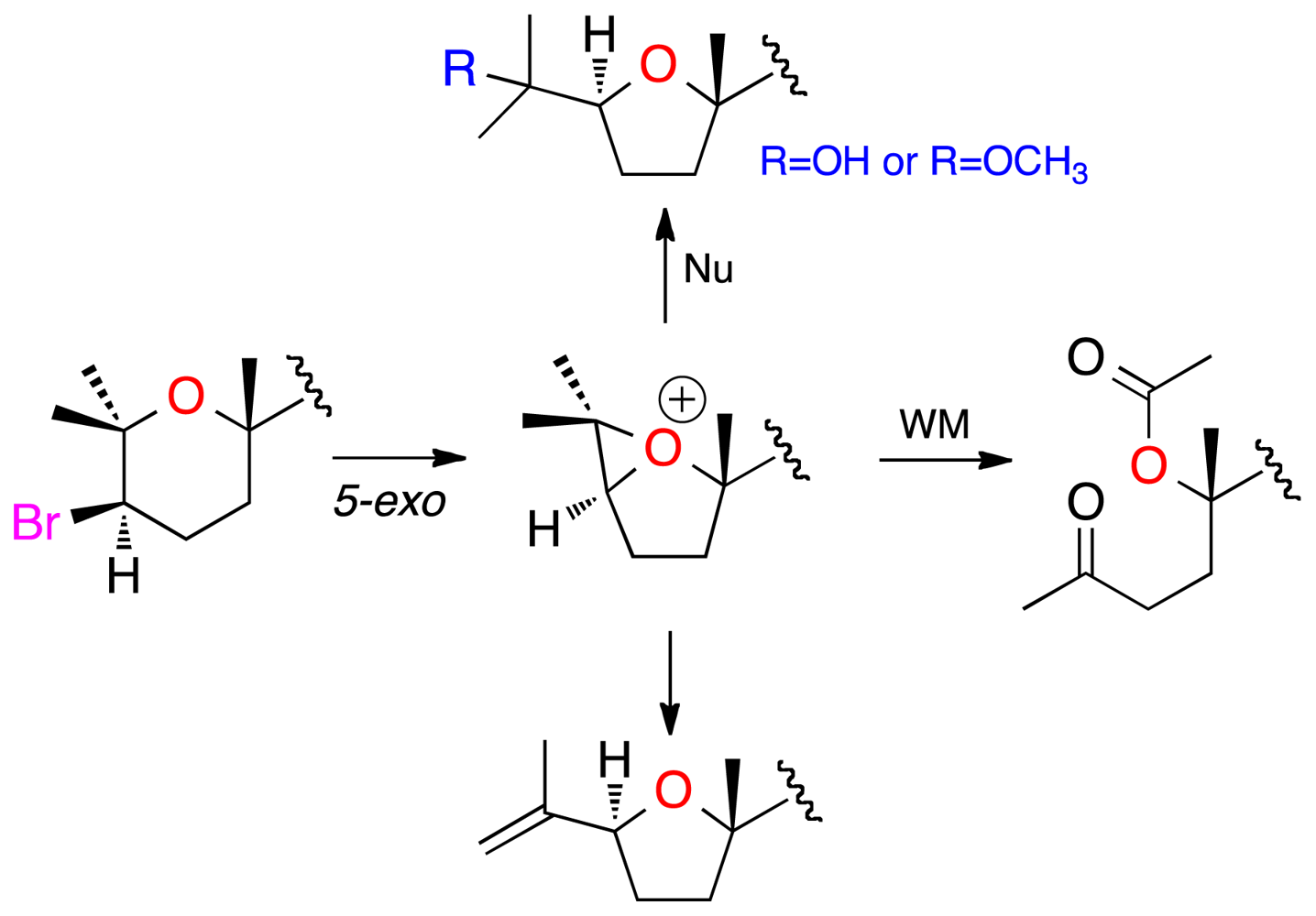 Marinedrugs 09 02220f7