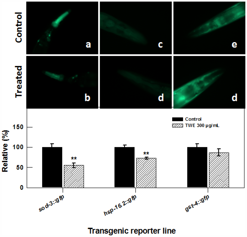 Marinedrugs 09 02256f7