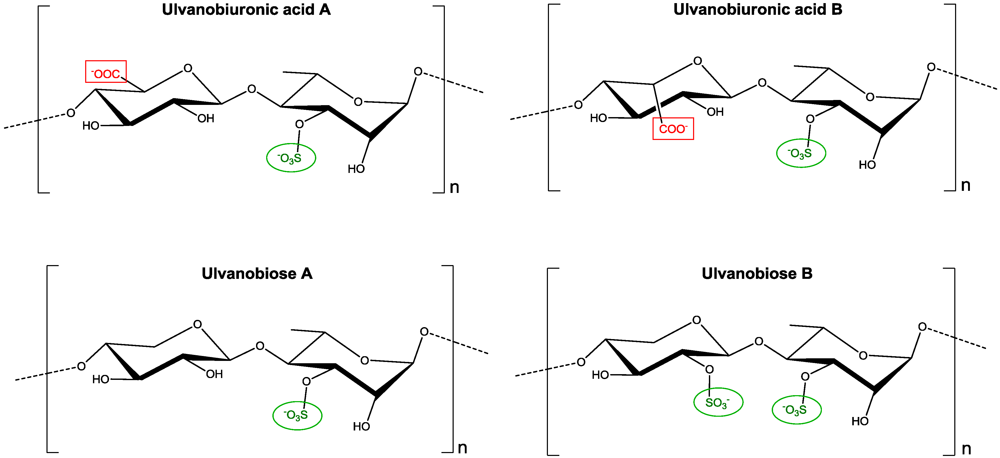 Marinedrugs 09 02514 g001
