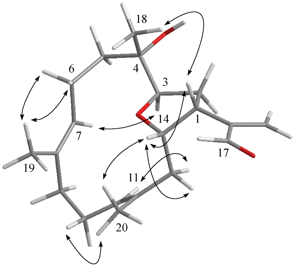 Marinedrugs 09 02526 g004 1024