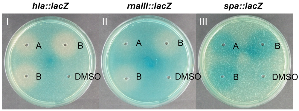 Marinedrugs 09 02537 g001 1024