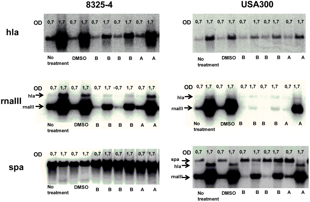 Marinedrugs 09 02537 g004 1024