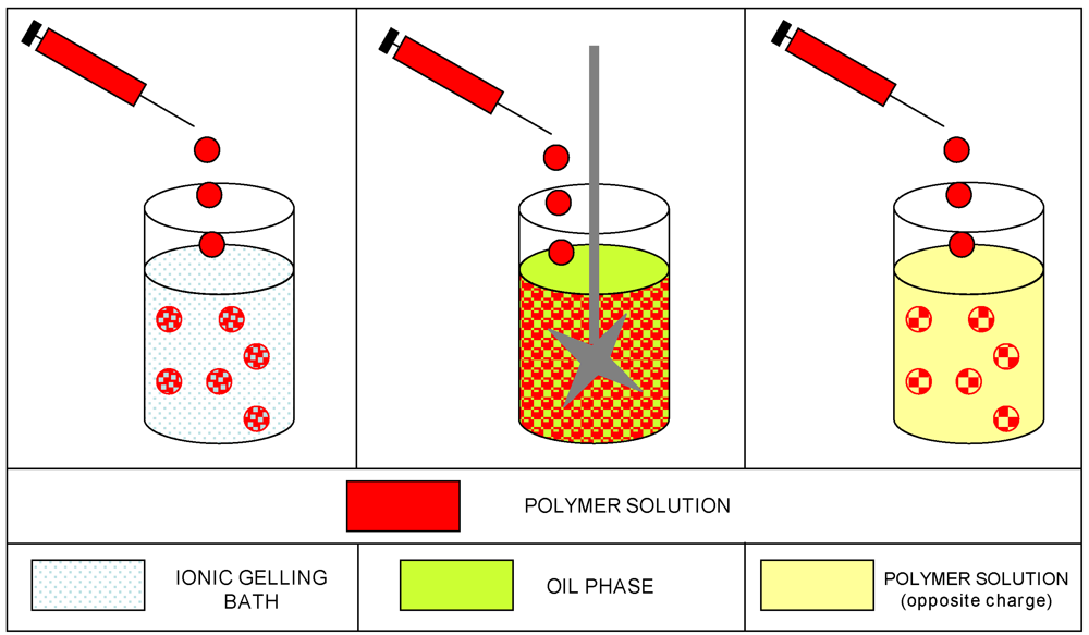 Marinedrugs 09 02572 g005 1024