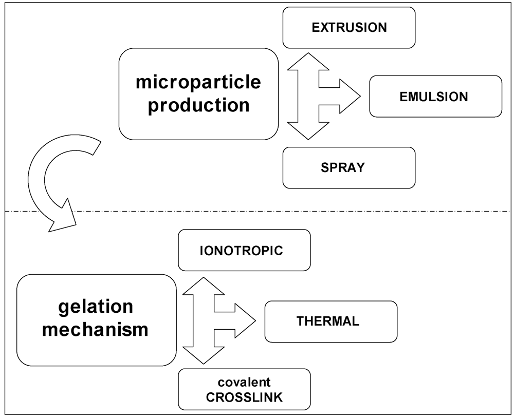 Marinedrugs 09 02572 g006 1024