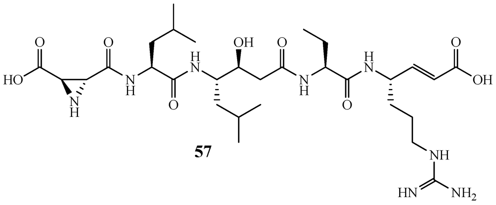 Marinedrugs 09 02643 g013 1024