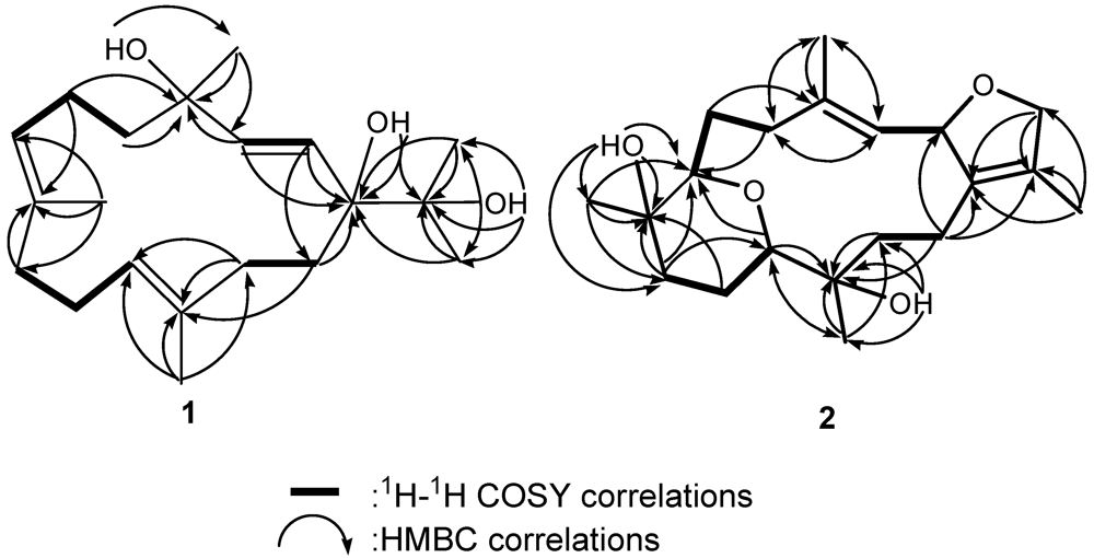 Marinedrugs 09 02705 g003 1024