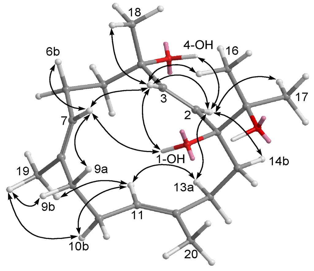 Marinedrugs 09 02705 g004 1024