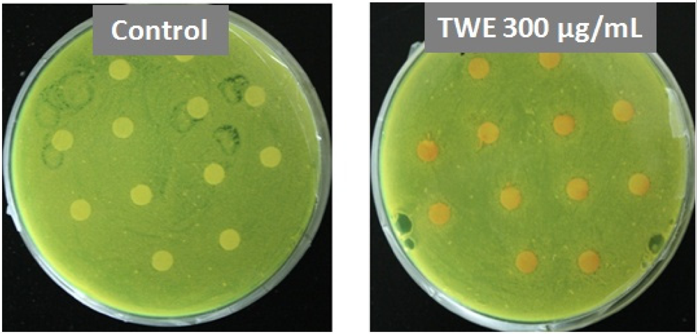 Marinedrugs 10 00084 g007 1024